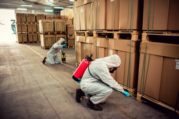 Best Pest Inspection Near Me  in Stevensville, MT
