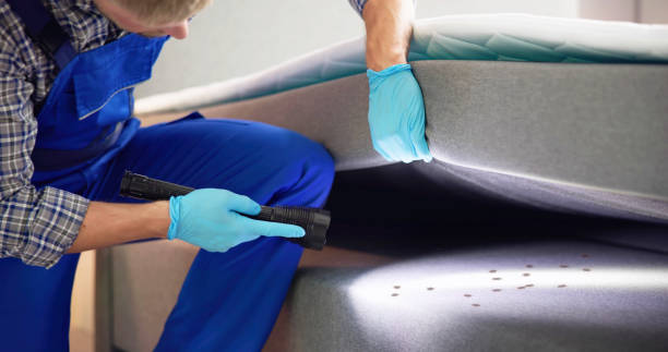Best Cockroach Control Services  in Stevensville, MT