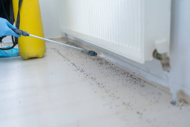 Best Bed Bug Extermination  in Stevensville, MT