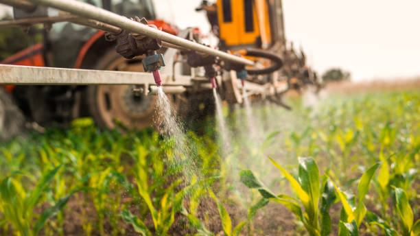 Best Pest Prevention Services  in Stevensville, MT